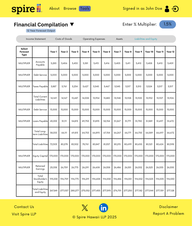 Financial Compilation Liabilities and Equity Page